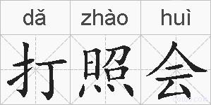 打照会的拼音
