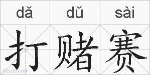 打赌赛的拼音