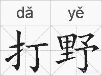 打野的拼音