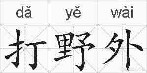 打野外的拼音