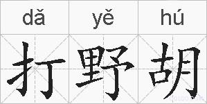 打野胡的拼音