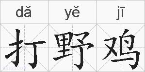 打野鸡的拼音