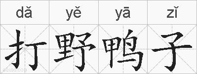 打野鸭子的拼音