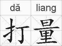 打量的拼音