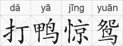 打鸭惊鸳的拼音