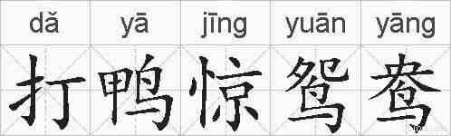打鸭惊鸳鸯的拼音