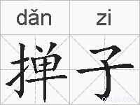 掸子的拼音