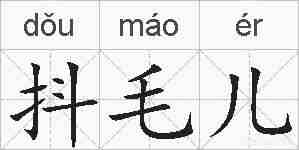 抖毛儿的拼音