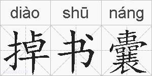 掉书囊的拼音