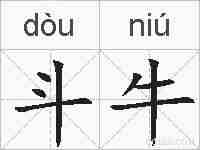 斗牛的拼音