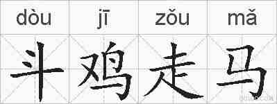 斗鸡走马的拼音