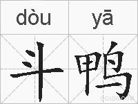 斗鸭的拼音