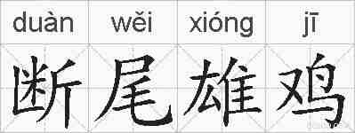 断尾雄鸡的拼音