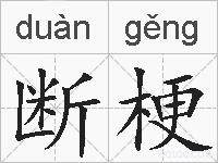 断梗的拼音