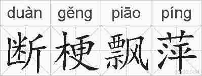 断梗飘萍的拼音