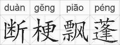 断梗飘蓬的拼音