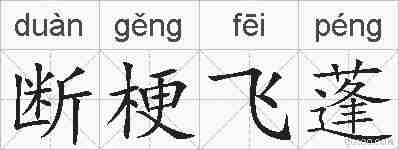 断梗飞蓬的拼音