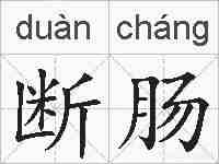 断肠的拼音