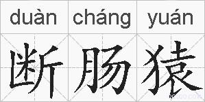 断肠猿的拼音