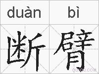 断臂的拼音