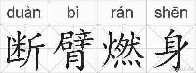 断臂燃身的拼音
