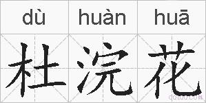 杜浣花的拼音