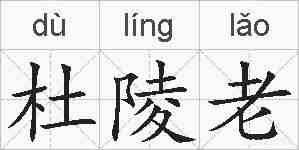 杜陵老的拼音