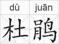 杜鹃的拼音
