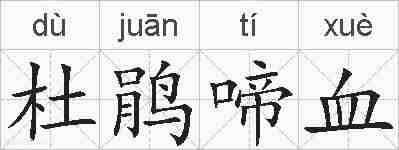 杜鹃啼血的拼音