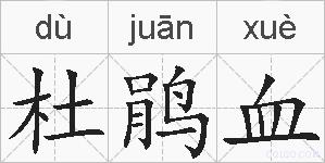 杜鹃血的拼音
