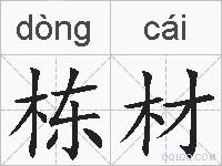 栋材的拼音