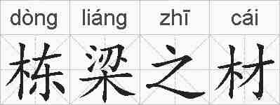 栋梁之材的拼音