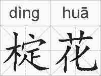 椗花的拼音