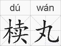 椟丸的拼音