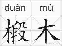 椴木的拼音