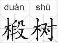 椴树的拼音
