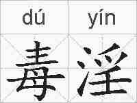 毒淫的拼音