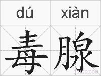 毒腺的拼音