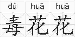毒花花的拼音