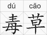 毒草的拼音