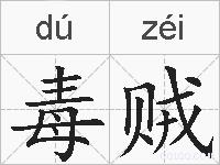 毒贼的拼音