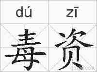 毒资的拼音