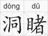 洞睹的拼音