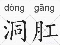 洞肛的拼音