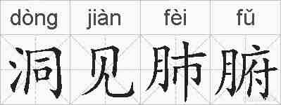 洞见肺腑的拼音