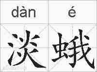 淡蛾的拼音