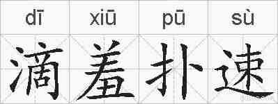 滴羞扑速的拼音
