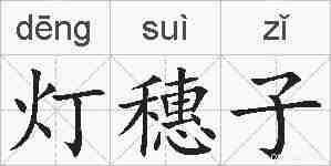 灯穗子的拼音