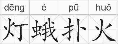 灯蛾扑火的拼音