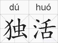 独活的拼音
